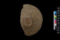 藏品(石蓋)的圖片